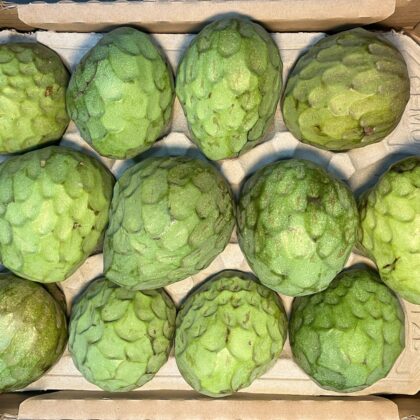 Cherimoya