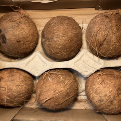 Coconuts