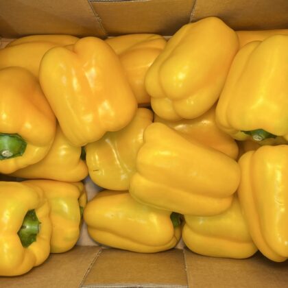 Peppers Yellow