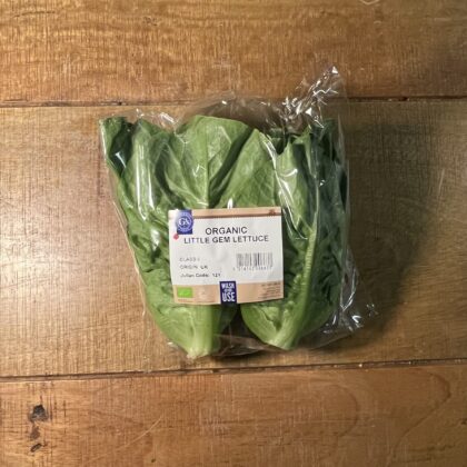 Lettuce Little Gem