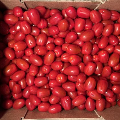 Tomatoes Cherry Plum Tomato Stall