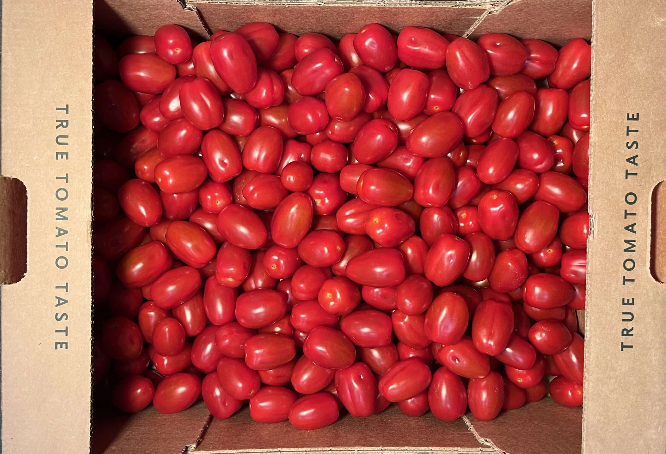 Tomatoes Cherry Plum Tomato Stall