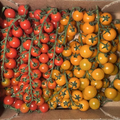 Tomatoes Mixed Cherry Vine Tomato Stall