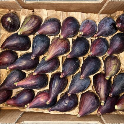 Figs Black Brava