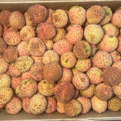 Lychee