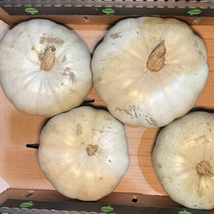 Squash Crown Prince Large