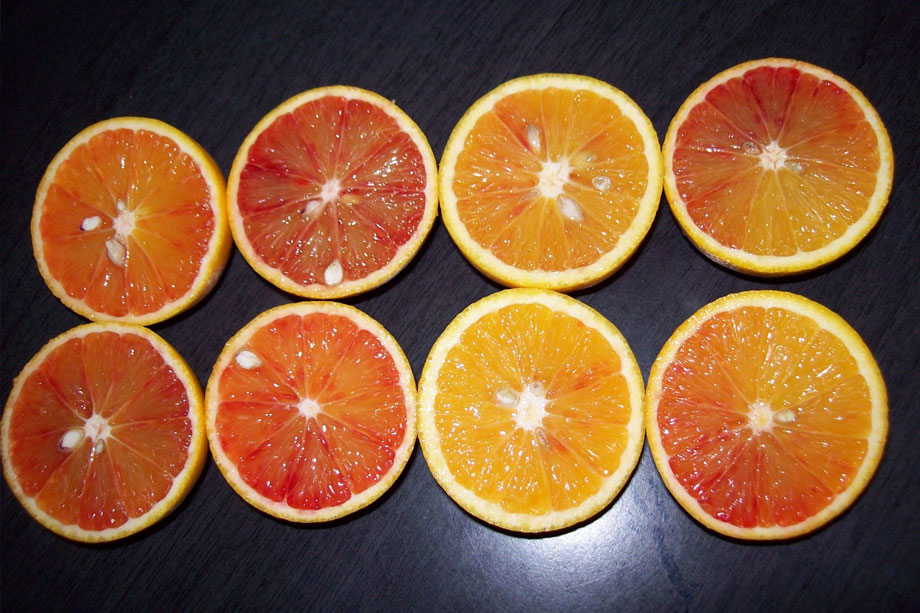 January – What’s in season