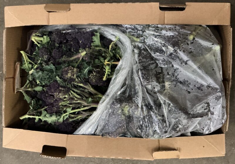Purple Sprouting Broccoli Loose