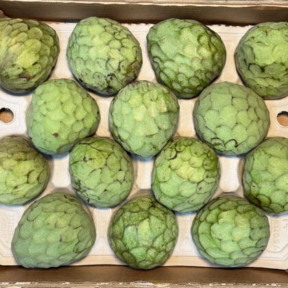 Cherimoya