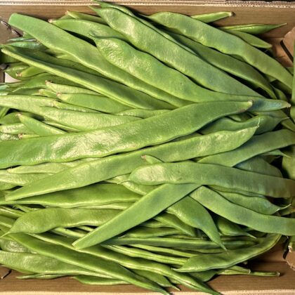 Flat Beans