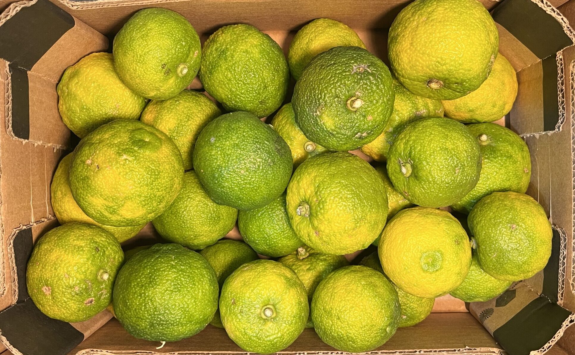 Yuzu Fruit