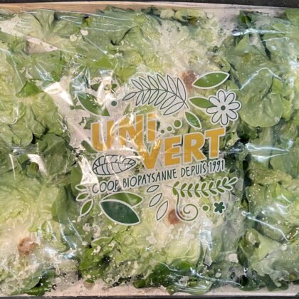 Lettuce Batavia Green