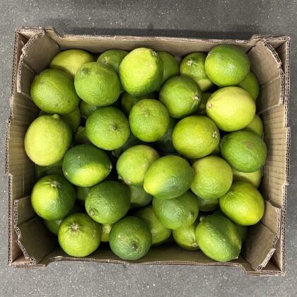 Limes