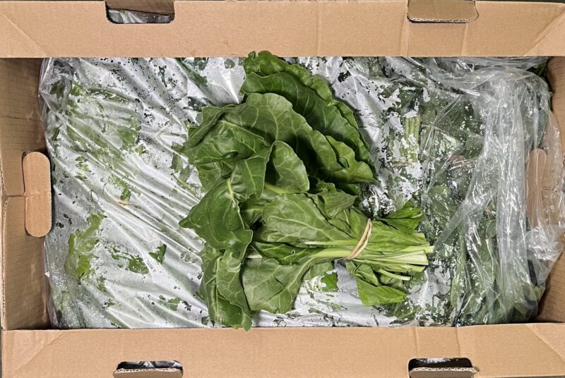 Spinach Bunched