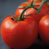 Tomatoes Rebellion