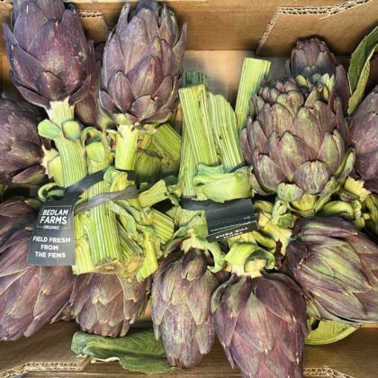 Artichoke Globe Baby Bunches