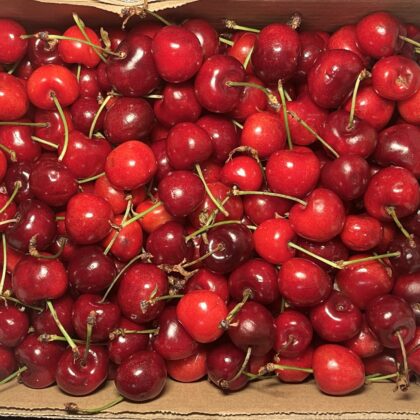 Cherries