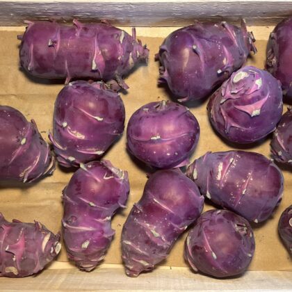 Kohl Rabi Purple