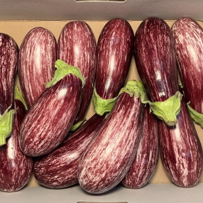 Aubergine Graffiti
