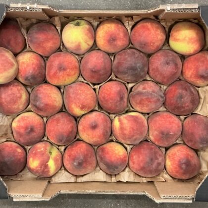 Peach Cal B