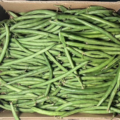 French Beans