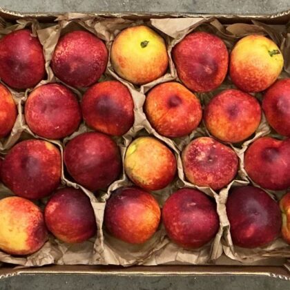 Nectarines