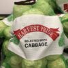 Cabbage White New Crop