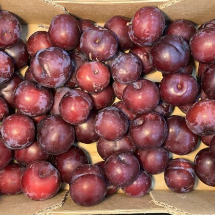 Plums Red Beauty