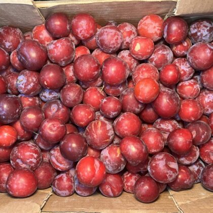 Plums Red Beauty