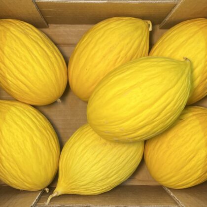 Melon Yellow