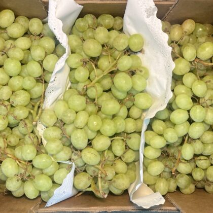 Grapes White Seedless