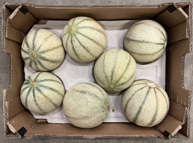 Melon Charentais
