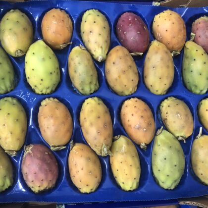 Prickly Pears