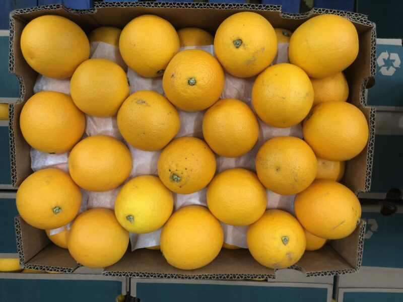 Oranges Regular Cal 6