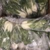 Pak Choi  Twin Pre-packed