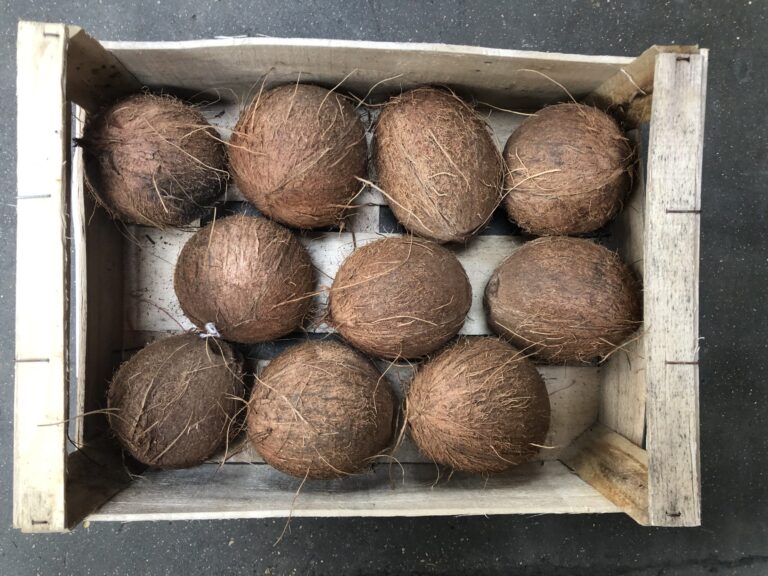 Coconuts Langridge Organic Products Ltd