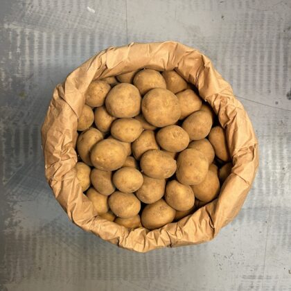 Potatoes White Salad Athlete