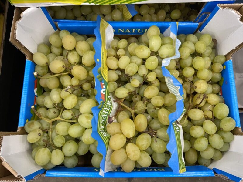 Grapes White Aledo