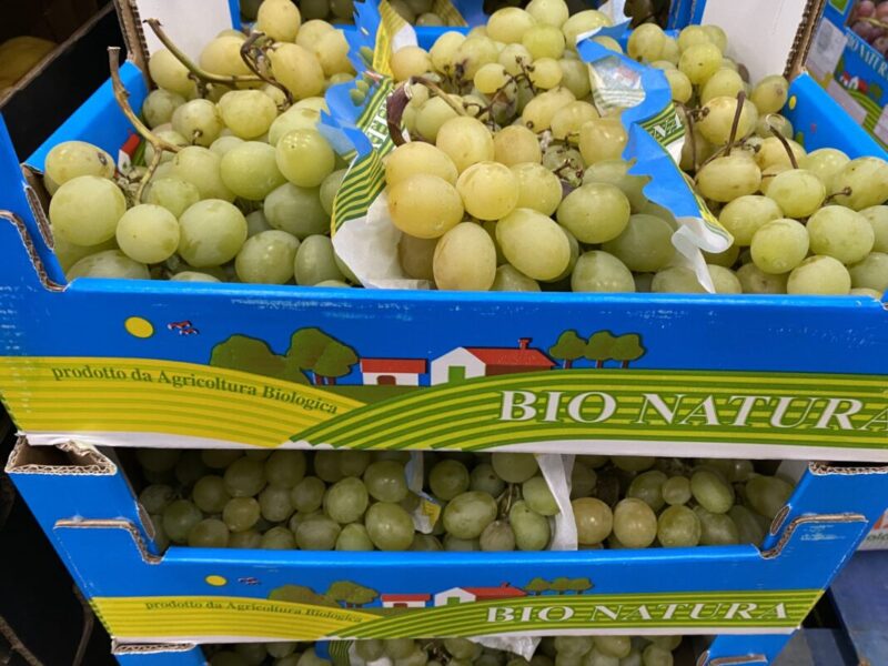 Grapes White Aledo - Image 2