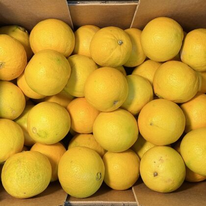 Oranges Small Cal 9