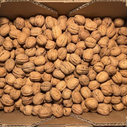 Walnuts