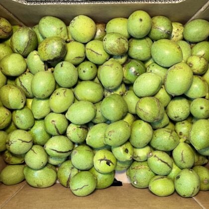 Walnuts Fresh