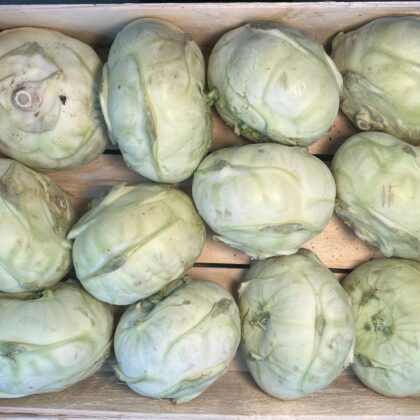 Kohl Rabi Green