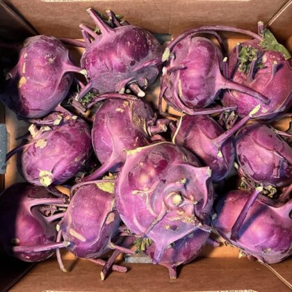 Kohl Rabi Purple