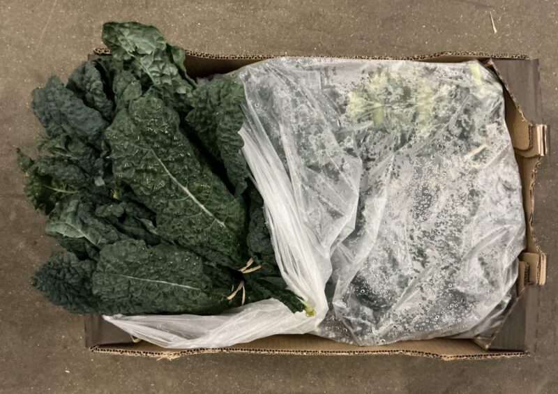 Cavolo Nero Bunched - Image 2