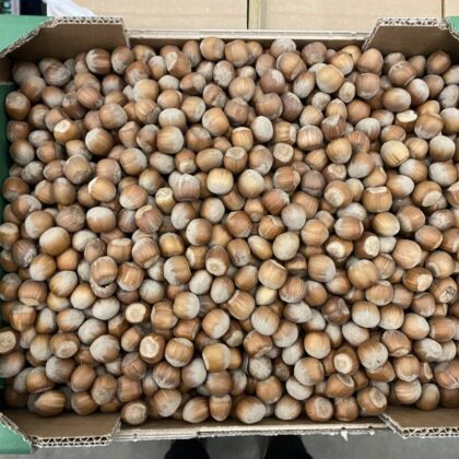 Hazelnuts