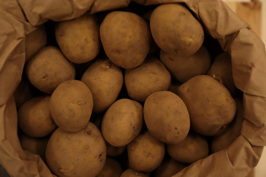 Potatoes Washed Acoustic - Image 3