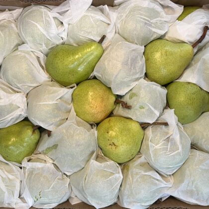 Pears Packham