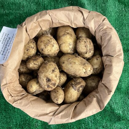 Potatoes Jersey Royals