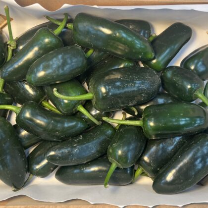 Pepper Jalapeno